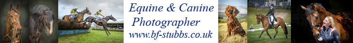 BF Stubbs Photography Website Advert image